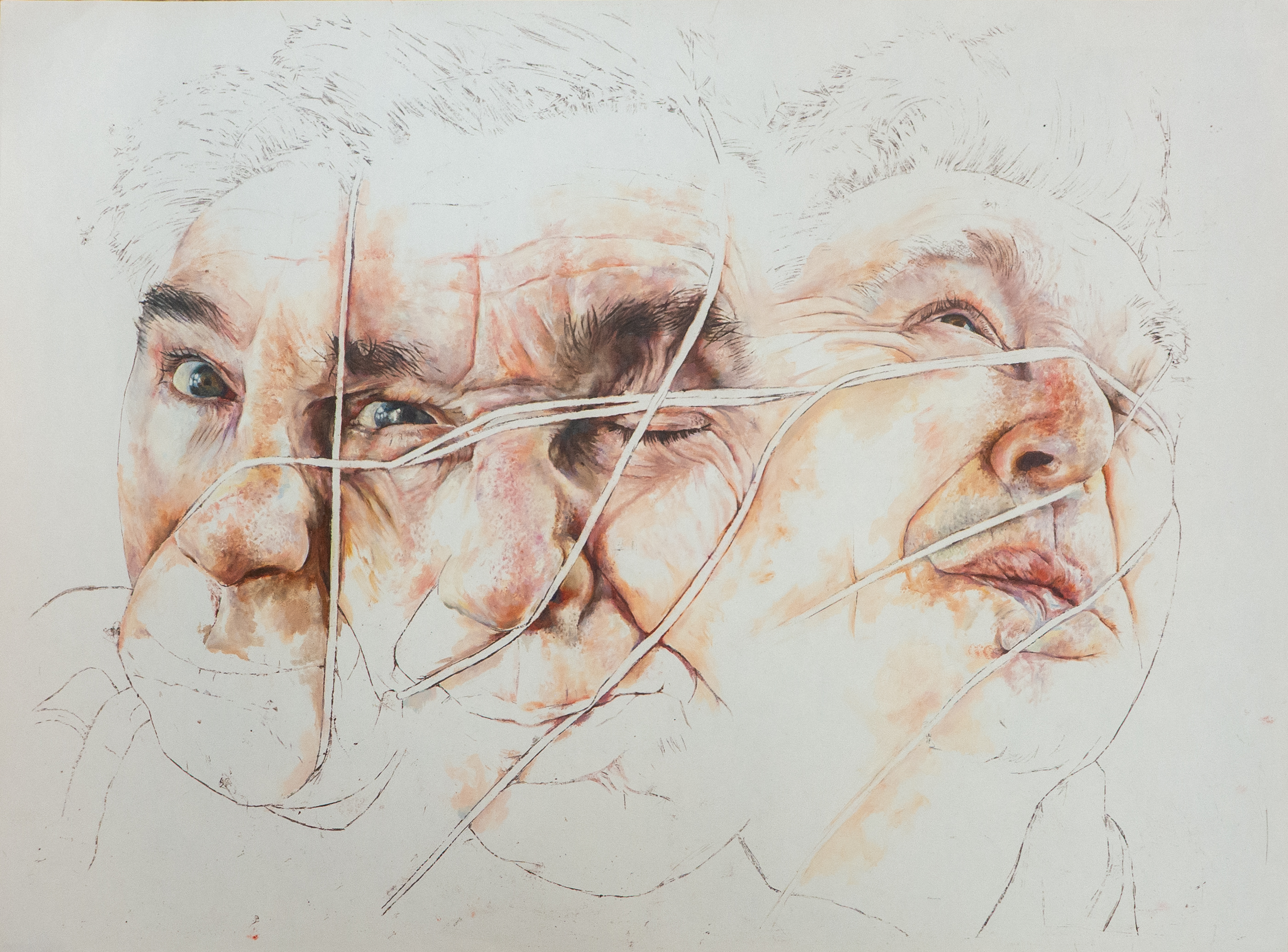 Portrait - distortion triptych